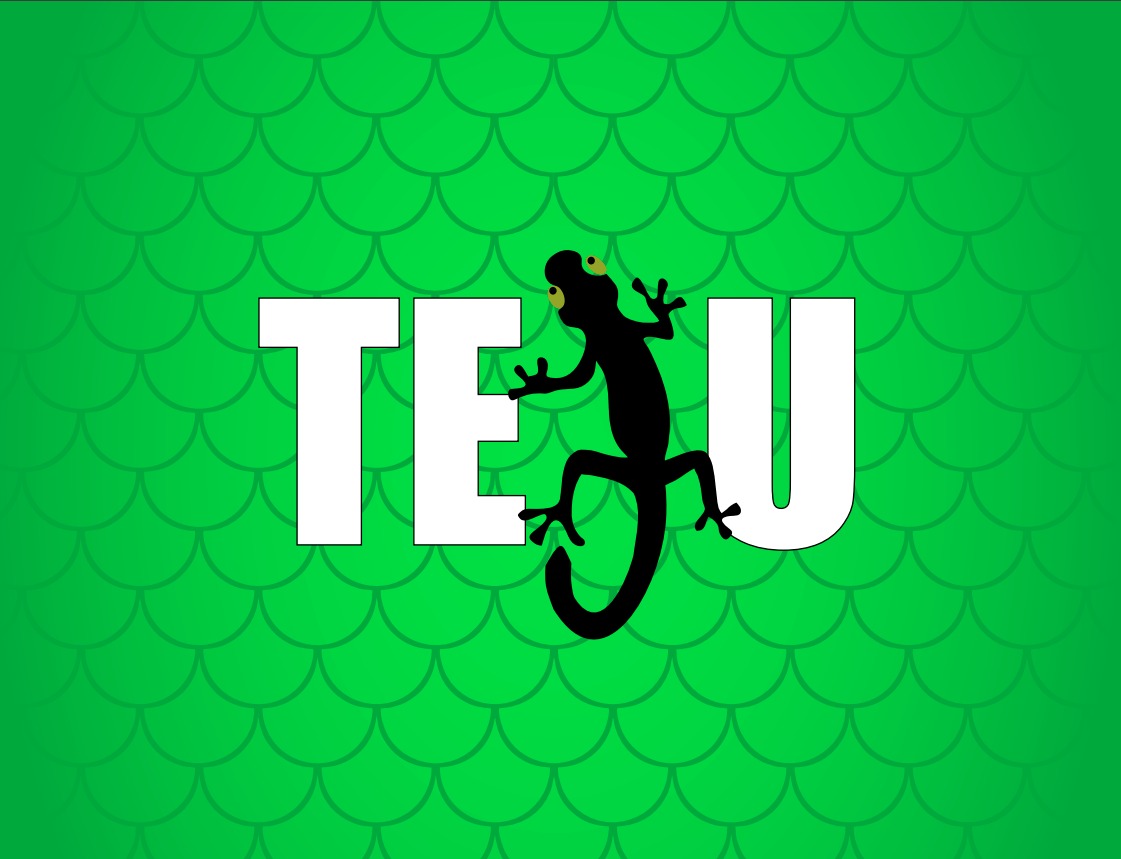 Teju Repuestos